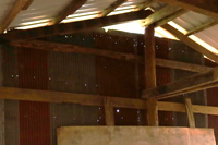 ���̊J�����g�^���̕�