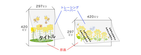 A3サイズ ※用紙の縦横は自由です。