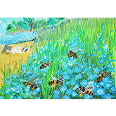 お花畑のミツバチ