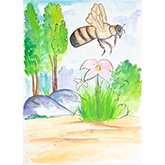 Symbiosis Story