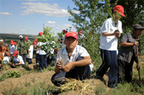 現地中学生も植樹に協力