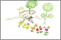 植樹した村の子供が描いた絵