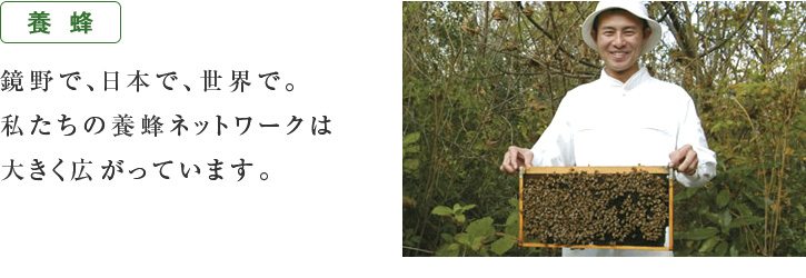 養蜂：鏡野で、日本で、世界で。私たちの養蜂ネットワークは大きく広がっています。