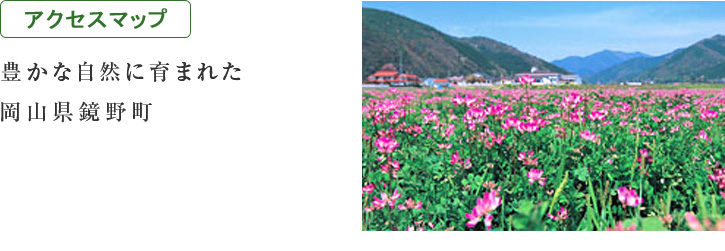 �A�N�Z�X�}�b�v�F�L���Ȏ��R�Ɉ�܂ꂽ���R�����쒬