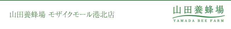 �R�c�{�I�� ���U�C�N���[���`�k�X