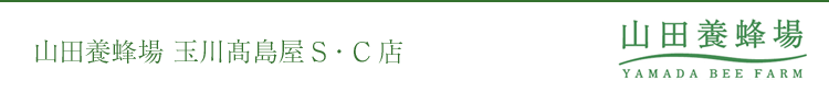 Rc{I ʐSECX