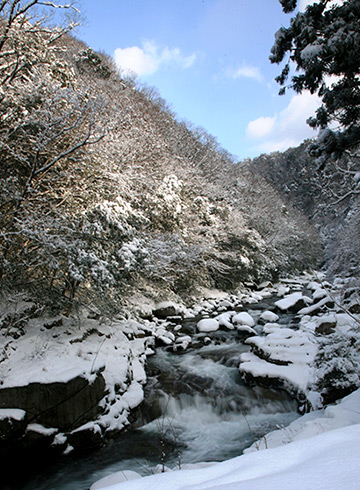 雪の奥津渓