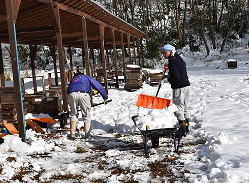養蜂場での雪かき