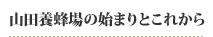 �R�c�{�I��̎n�܂�Ƃ��ꂩ��